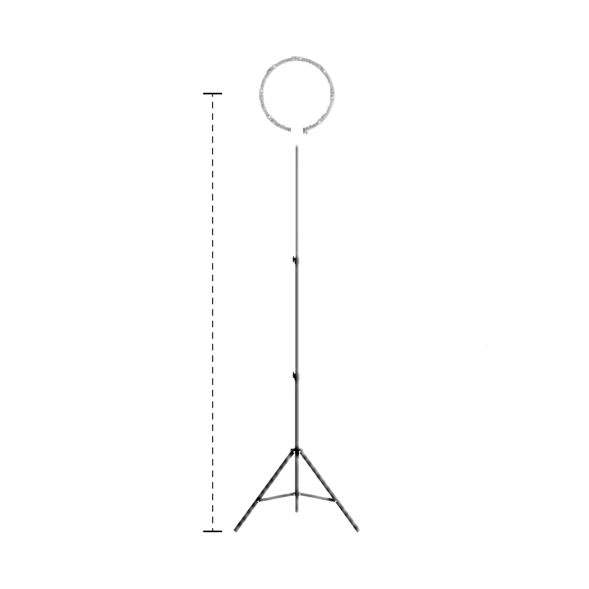 Height